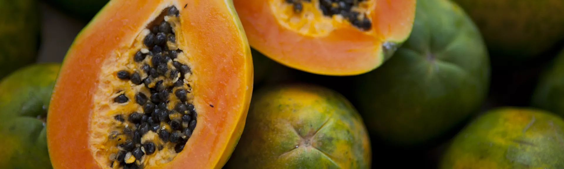 Fresh cut papaya